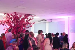 Post-TMS2024-242_29_05_2024