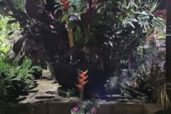 Post-Guaramiranga-Alberto-Carapeba-23_04_12_2021