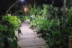 Post-Guaramiranga-Alberto-Carapeba-30_04_12_2021