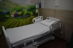 Post-Pronutrir-16_11_02_2022