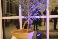 Post-THS2023-Arretado-31-8-23-188_12_09_2023