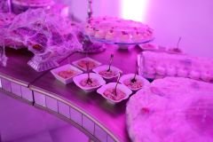 Post-MulheresdeSucessoAdrielsonAguiar-49_01_04_2023