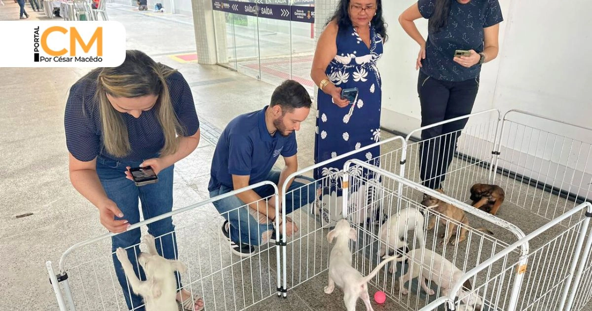 A Prefeitura de Sobral, por meio da Agência Municipal do Meio Ambiente (AMA), realizou nesta sexta-feira (06/03) a 14ª edição da Ação Solidária de Adoção de Cães e Gatos. A iniciativa ocorreu em parceria com o evento “Bodega de Oportunidades”, realizado no Centro de Convenções.
