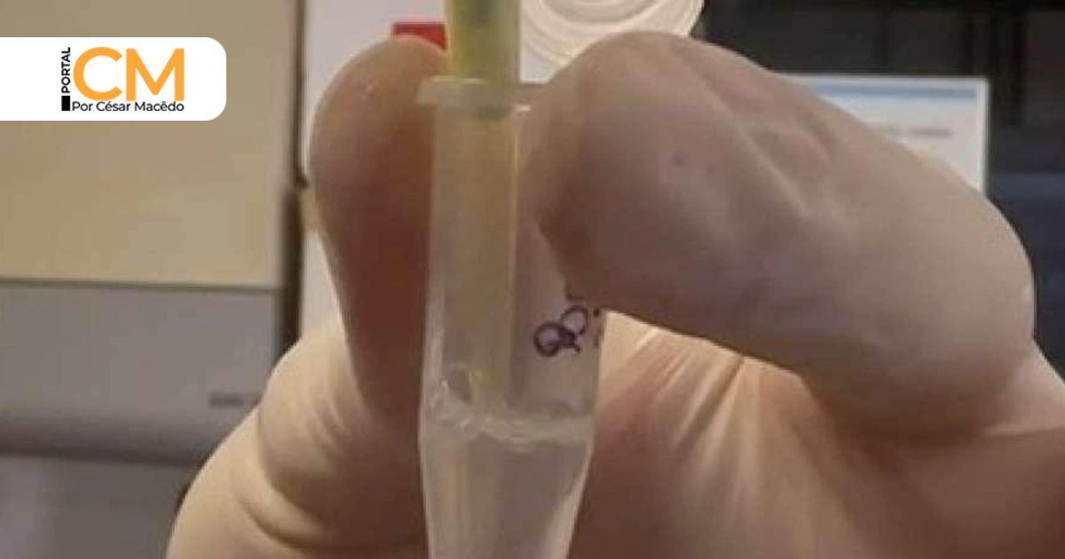 Projeto de Sobral em saúde mental ganha destaque nacional e vira documentário da Fiocruz