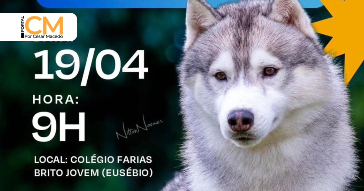 1º Festival de Cães KCEC 2026