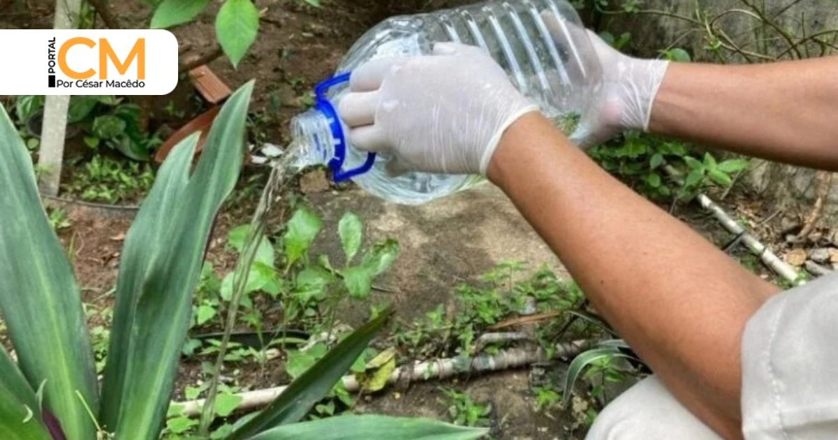 Dengue: entenda os sinais de alerta para buscar emergência em Sobral