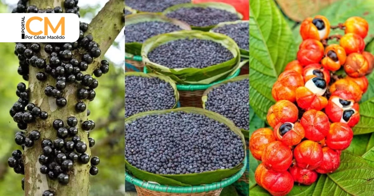 Brasil tem três frutas entre as 100 melhores do mundo; descubra quais